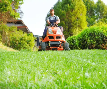 Werken in het groen | JIJ Uitzendbureau